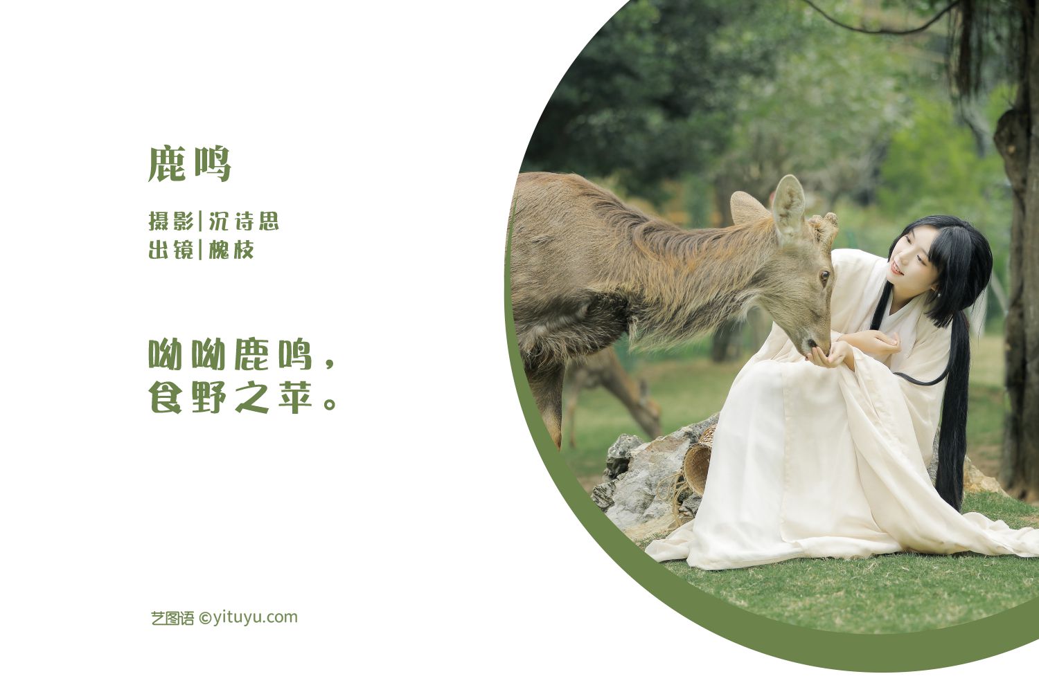 图片[2]-鹿鸣槐枝-COS世界